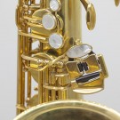 Remy Altsaxofon - ulakkert thumbnail